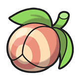 アッキのみ
