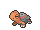 コータス