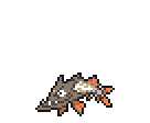 カマスジョー