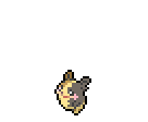 モルペコ