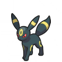 ブラッキー