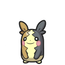 モルペコ